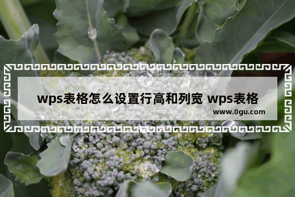 wps表格怎么设置行高和列宽 wps表格设置行高和列宽步骤教程