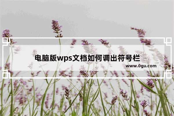 电脑版wps文档如何调出符号栏