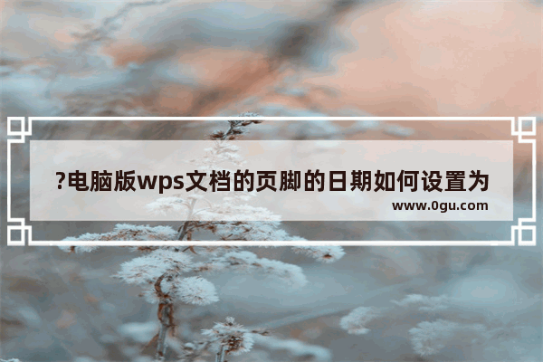 ?电脑版wps文档的页脚的日期如何设置为英文样式