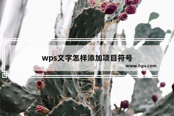 wps文字怎样添加项目符号