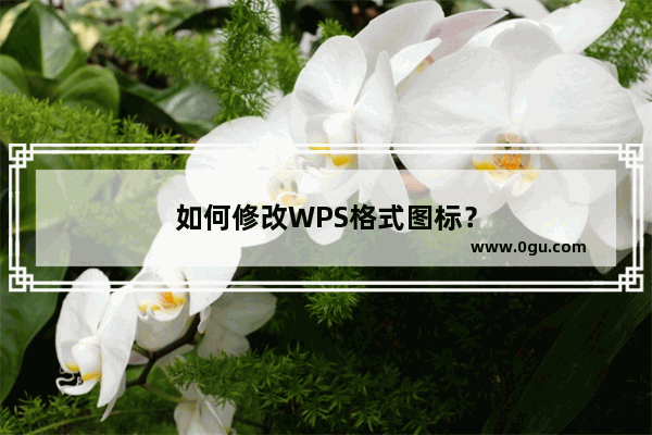 如何修改WPS格式图标？