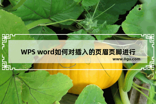 WPS word如何对插入的页眉页脚进行高度调整