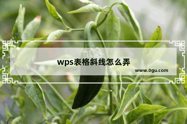 wps表格斜线怎么弄