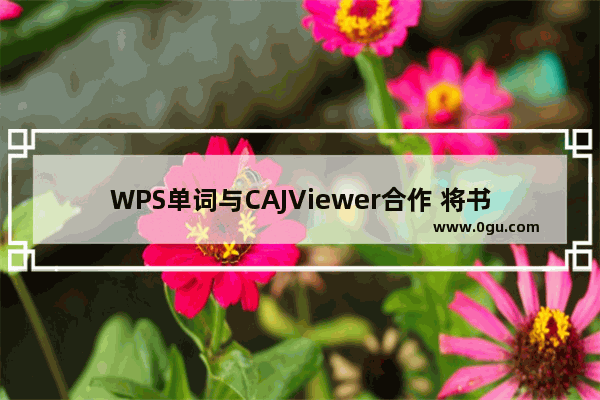 WPS单词与CAJViewer合作 将书籍中的单词输入计算机