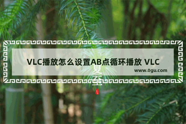 VLC播放怎么设置AB点循环播放 VLC播放器设置AB点循环播放的方法