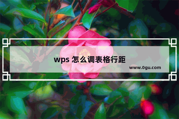 wps 怎么调表格行距