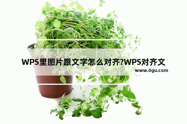 WPS里图片跟文字怎么对齐?WPS对齐文字和图片的方法教程