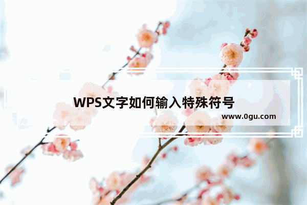 WPS文字如何输入特殊符号