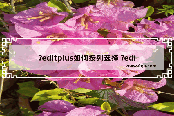 ?editplus如何按列选择 ?editplus按列选择的方法