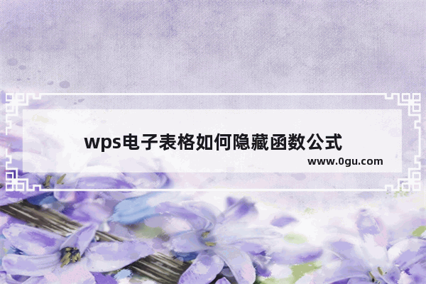 wps电子表格如何隐藏函数公式