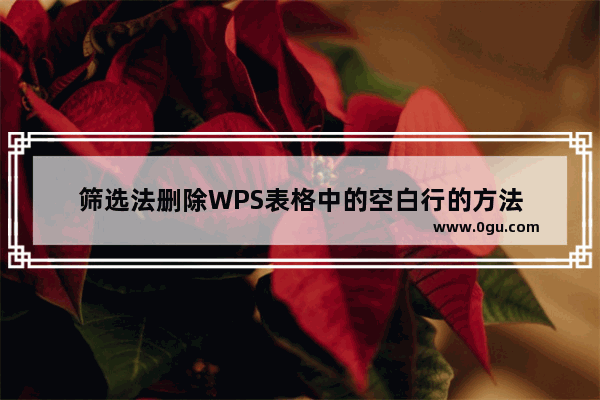 筛选法删除WPS表格中的空白行的方法