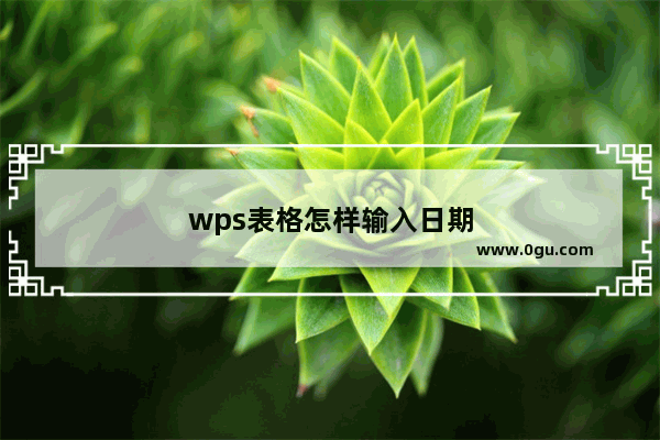 wps表格怎样输入日期