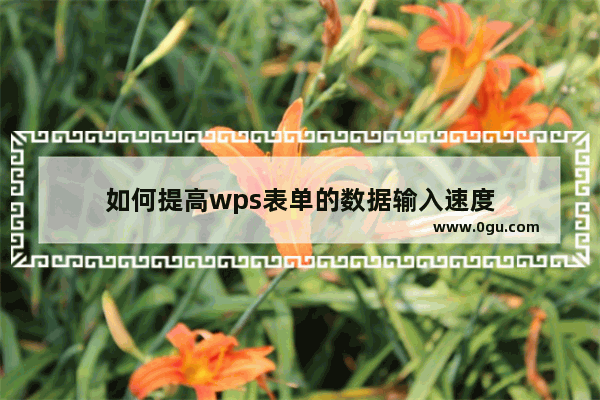 如何提高wps表单的数据输入速度