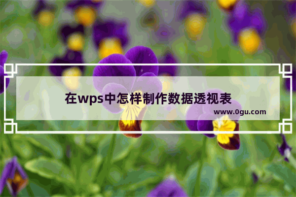 在wps中怎样制作数据透视表