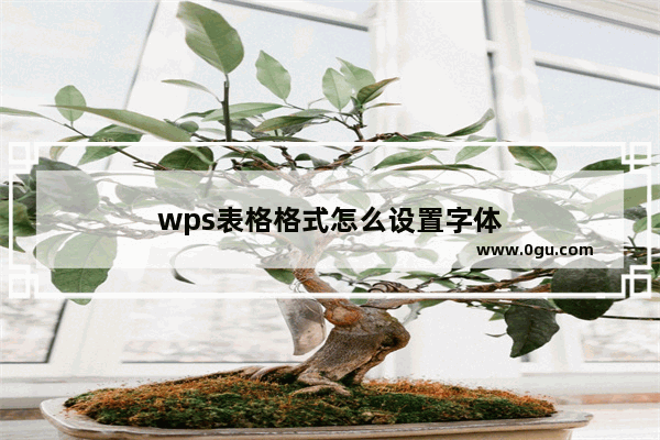 wps表格格式怎么设置字体