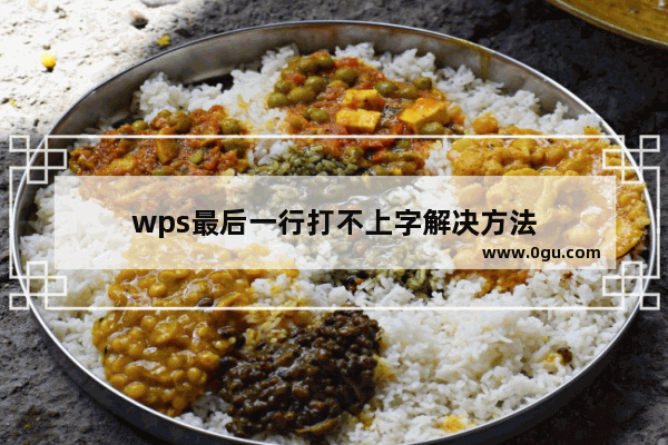 wps最后一行打不上字解决方法