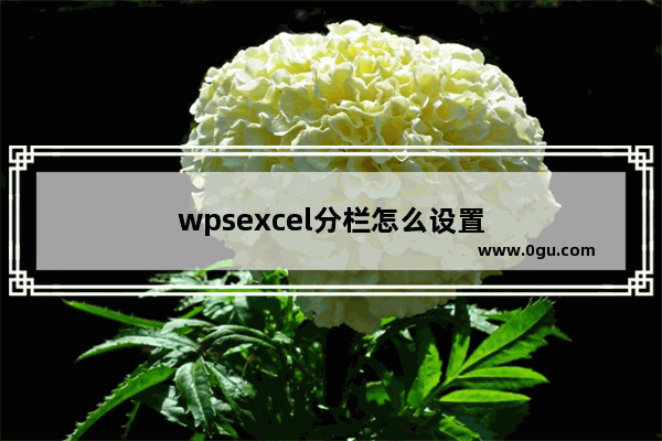 wpsexcel分栏怎么设置