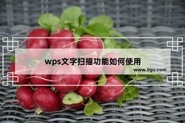 wps文字扫描功能如何使用