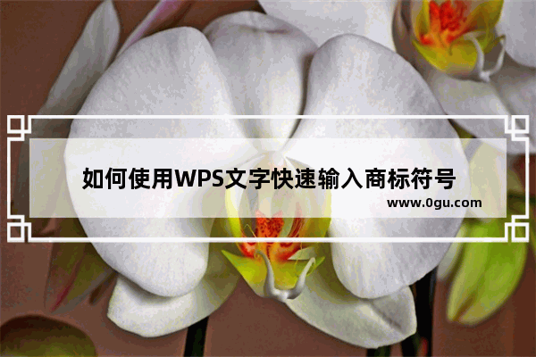 如何使用WPS文字快速输入商标符号