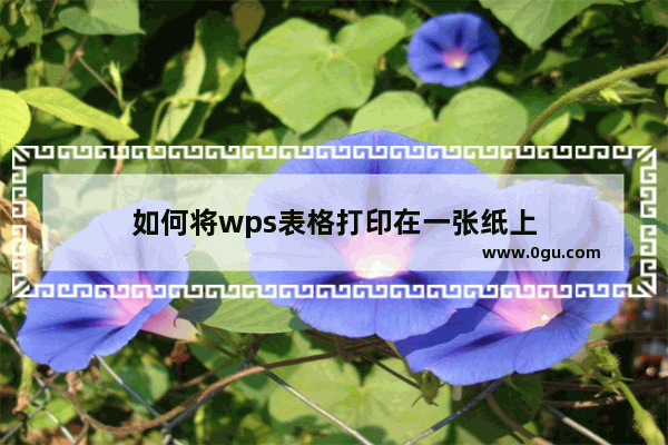 如何将wps表格打印在一张纸上