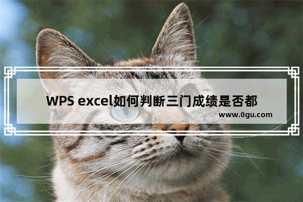 WPS excel如何判断三门成绩是否都及格？