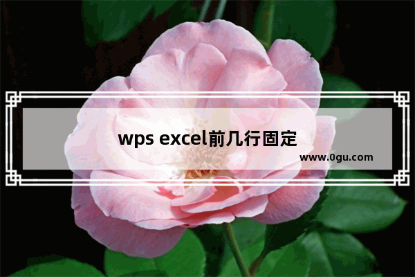 wps excel前几行固定