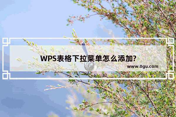 WPS表格下拉菜单怎么添加?