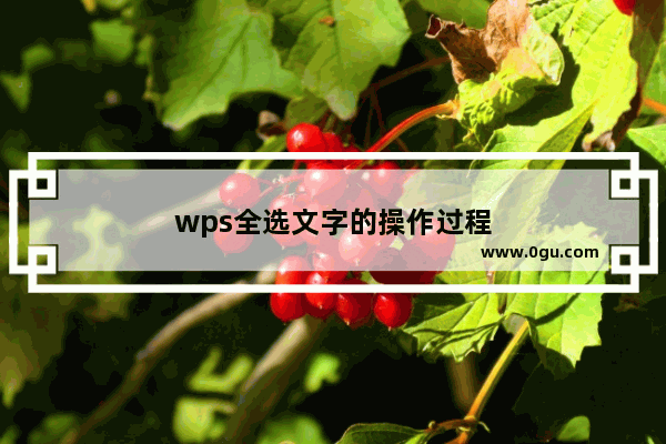 wps全选文字的操作过程