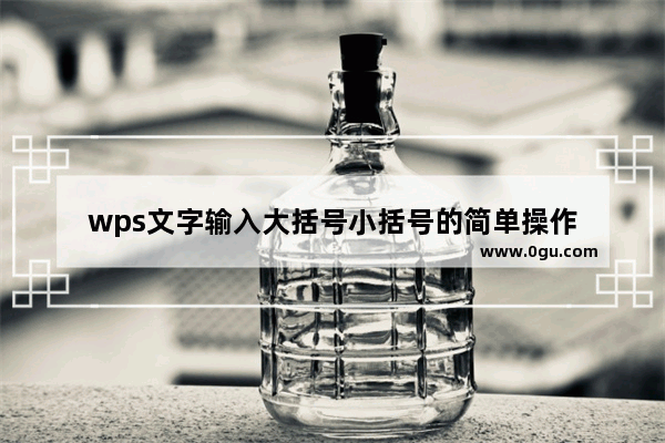 wps文字输入大括号小括号的简单操作