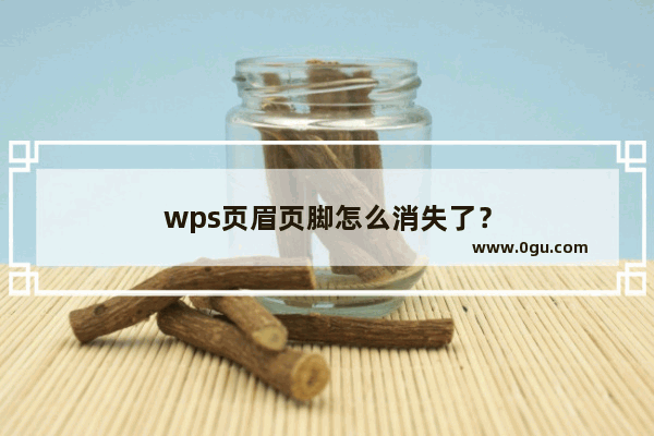 wps页眉页脚怎么消失了？