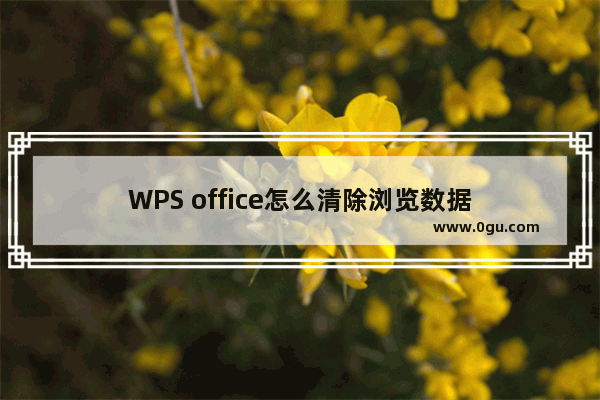 WPS office怎么清除浏览数据