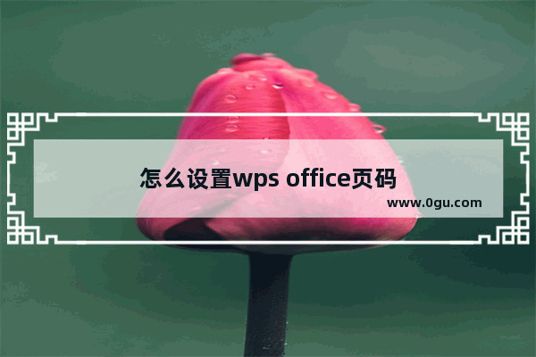 怎么设置wps office页码