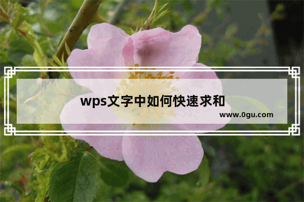 wps文字中如何快速求和