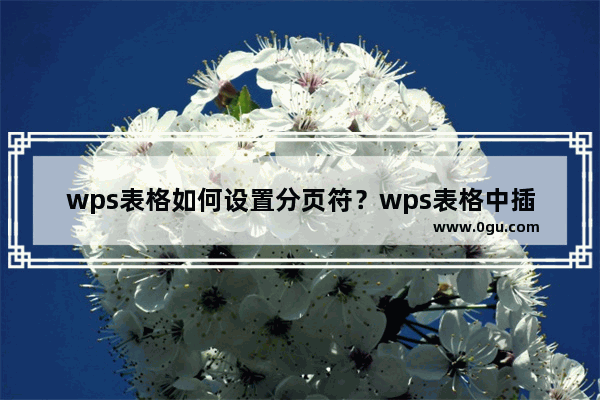 wps表格如何设置分页符？wps表格中插入分页符的操作步骤