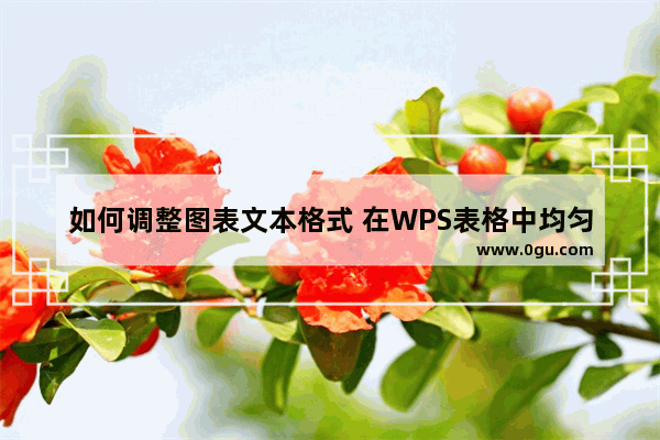 如何调整图表文本格式 在WPS表格中均匀显示数据系列