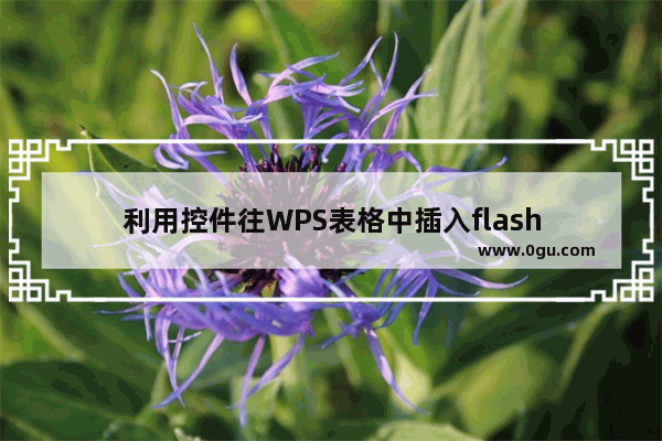 利用控件往WPS表格中插入flash