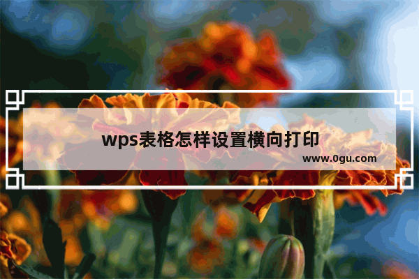 wps表格怎样设置横向打印