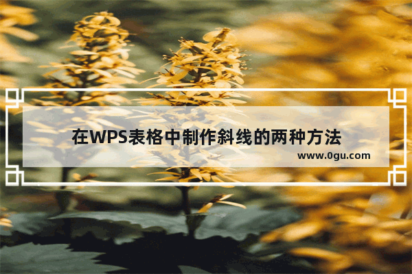 在WPS表格中制作斜线的两种方法