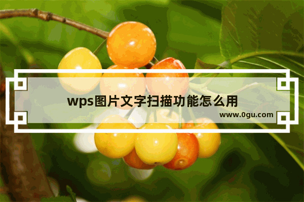 wps图片文字扫描功能怎么用