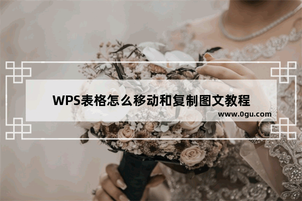 WPS表格怎么移动和复制图文教程