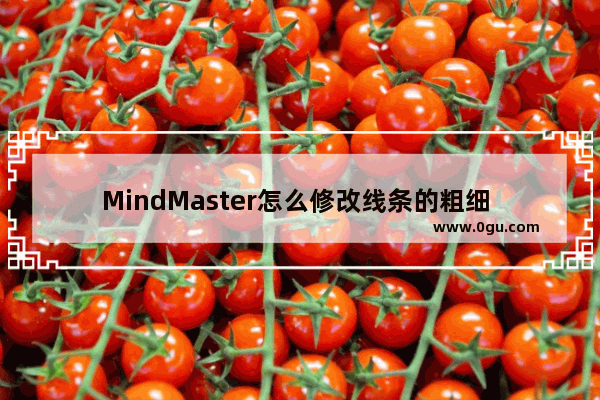 MindMaster怎么修改线条的粗细 MindMaster设置线条粗细的方法