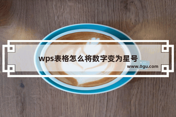 wps表格怎么将数字变为星号