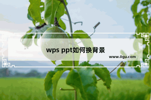 wps ppt如何换背景