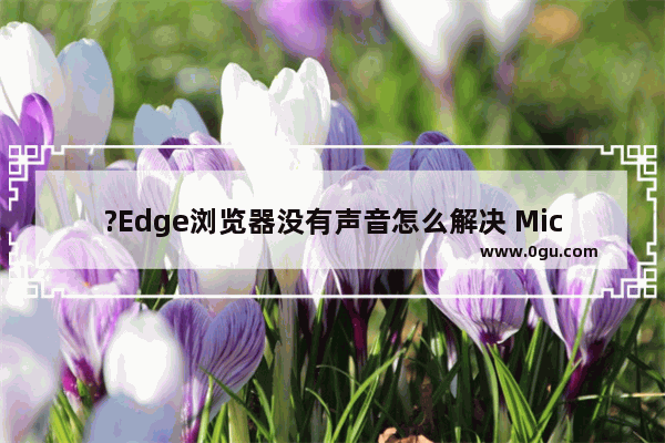 ?Edge浏览器没有声音怎么解决 Microsoft edge浏览器解决网页没有声音的方法教程