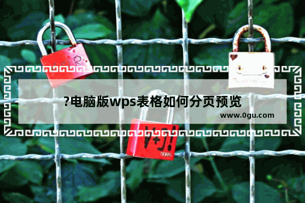 ?电脑版wps表格如何分页预览