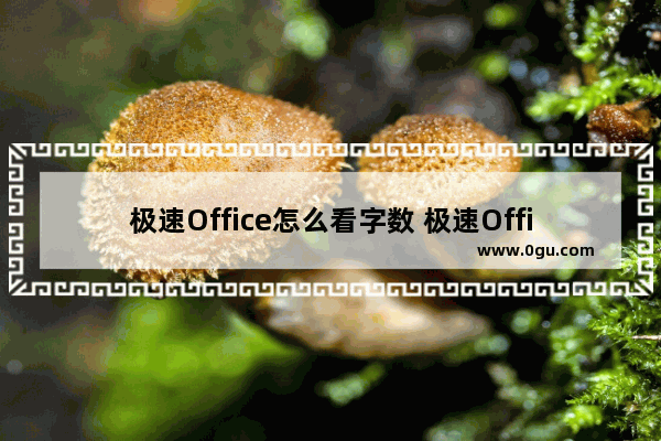 极速Office怎么看字数 极速Office2019统计字数的方法