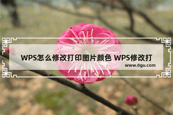 WPS怎么修改打印图片颜色 WPS修改打印图片颜色教程