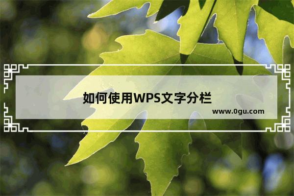 如何使用WPS文字分栏