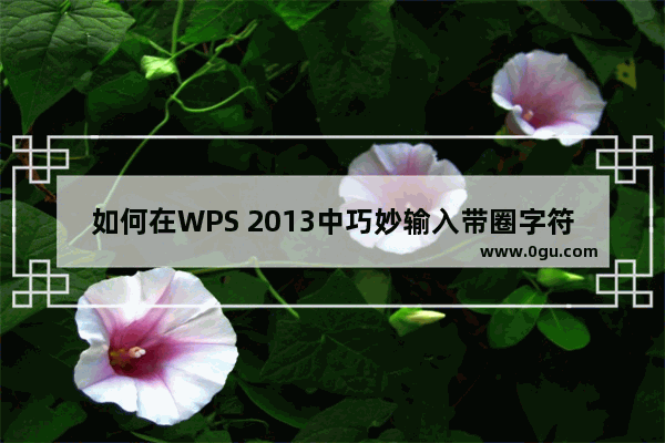 如何在WPS 2013中巧妙输入带圈字符方法