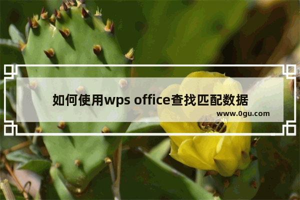 如何使用wps office查找匹配数据？